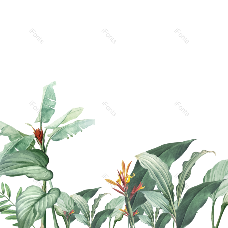 叶子图片,夏天元素,绿叶PNG,花草免抠素材